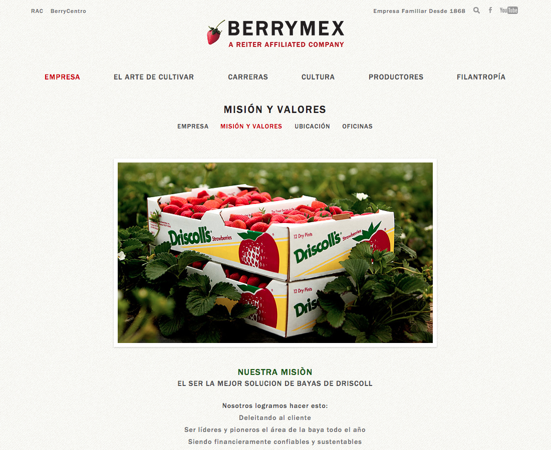 Misión y Valores | BerryMex
